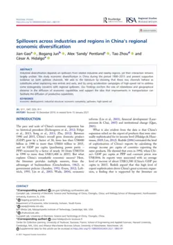Spillovers across industries and regions in China’s regional economic diversification