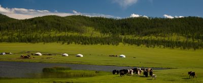 Image for Mongolia