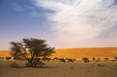 Image for Mauritania
