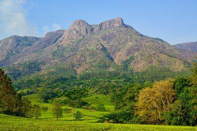Image for Malawi