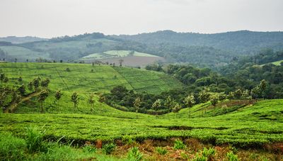 Image for Uganda