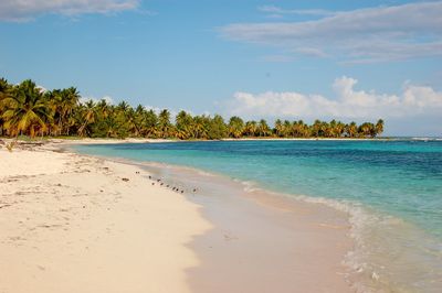 Image for Dominican Republic