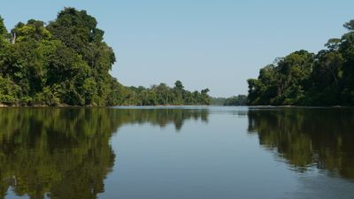 Image for Suriname