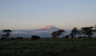 Image for Tanzania