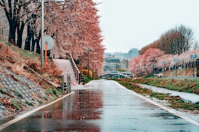 Image for South Korea