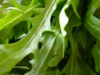 Image for Foodstuffs