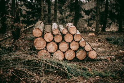 Image for Wood, wood articles, & charcoal