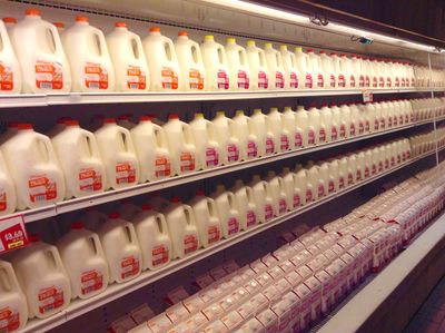 Image for Milk