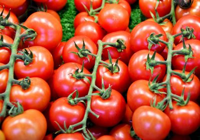 Image for Tomates