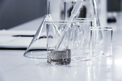 Image for Halogens