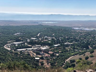 Image for 巴勒斯坦