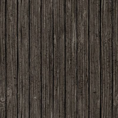Image for Rough Wood